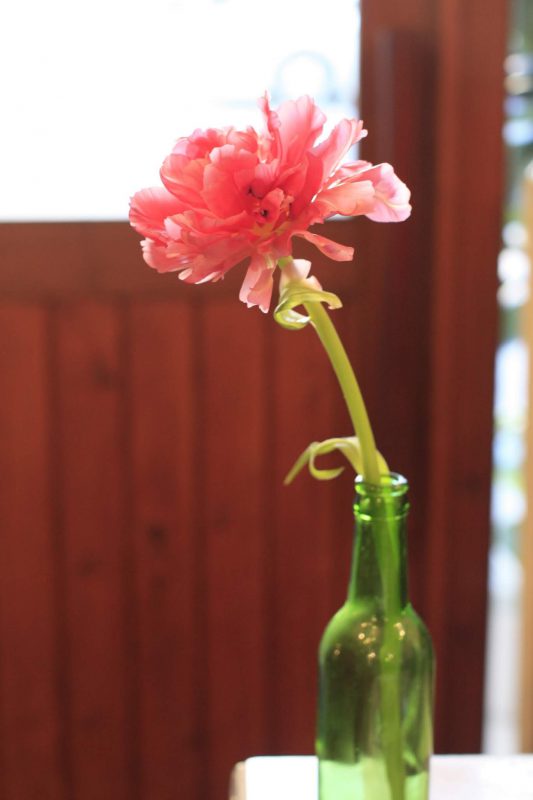1輪の花を飾ろう 福岡市 花屋 ボヌール 福岡市のフラワーアレンジメント教室 ボヌール 花に恋して