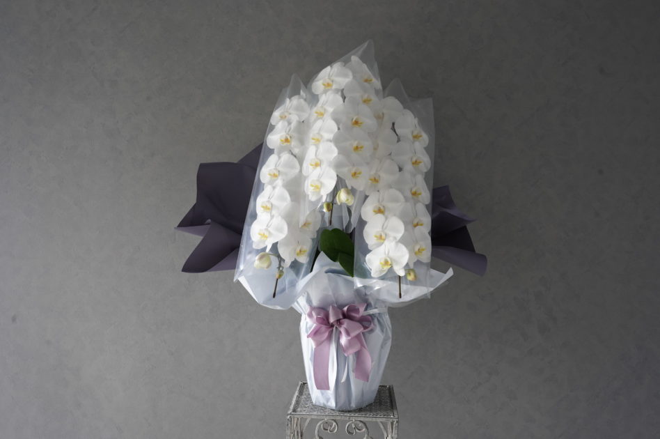 福岡市,城南区,おしゃれなお供えアレンジ,御供アレンジ,枕花,仏花,お盆お供えアレンジ,配達,郵送,初盆,白のアレンジ,淡い色のフラワー,人気のお花屋さん,お洒落なお花屋さん 開店祝い・開院祝い　胡蝶蘭　配達可能